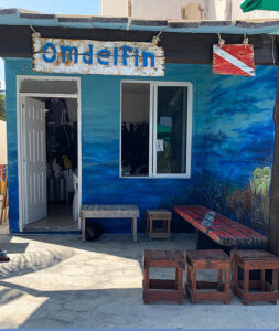 Puerto Morelos Scuba Diving Shops
