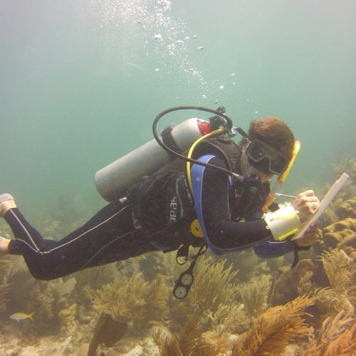 Advance Open Water dive