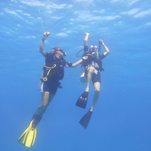 open water dive