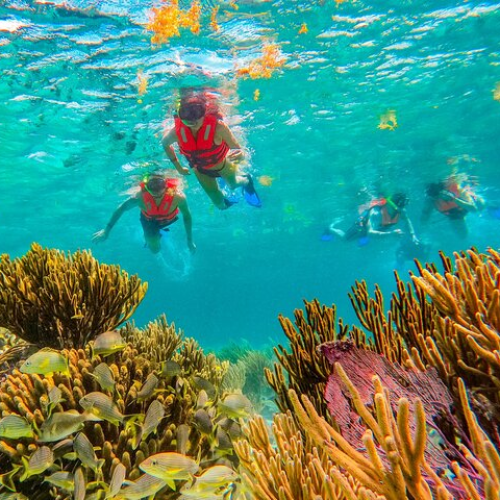 Snorkling Arrecife